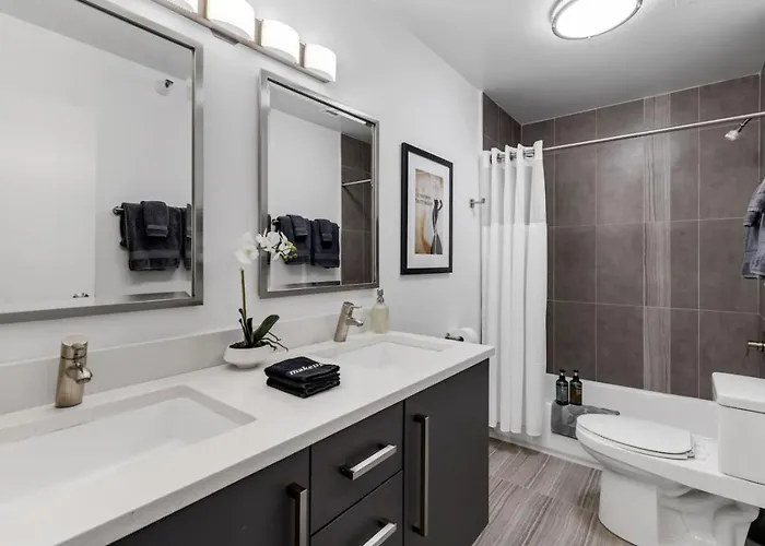 Apartment Downtown Penthouse 11parking Gym Pvt Patio Chicago